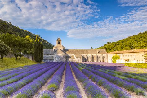 provence